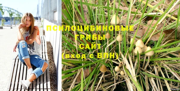 MESCALINE Белокуриха